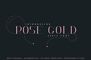 Massive Font Bundle - 197 fonts, a Script Font by VP Fonts (Thumbnail 46 of 55)