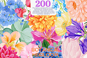 Flower Clipart Huge Bundle, a Decorative Illustration by Patishop Art (Thumbnail 1 of 11)