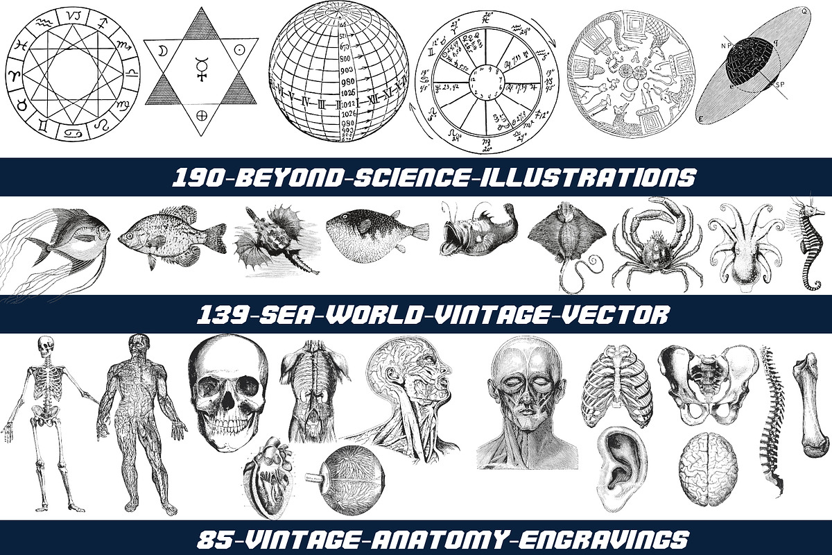 1800+ Vector Illustration Bundle, an Illustration by Chipshpow Graphics (Photo 11 of 11)