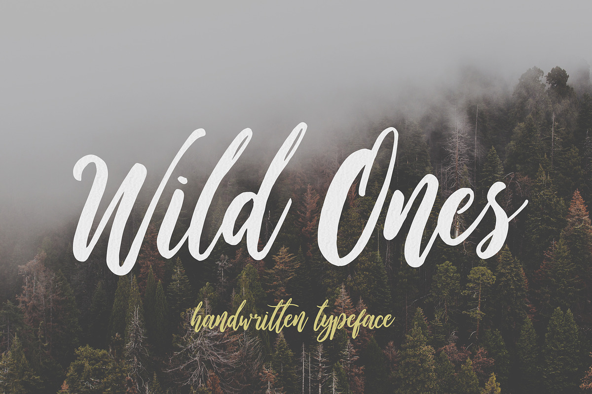 Wild Ones, a Script Font by Dikas Studio (Photo 1 of 8)