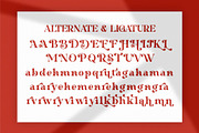 Saglary || Vintage Retro Serif Font, a Serif Font by Ermedia Studio (Thumbnail 7 of 10)