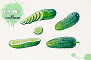 Watercolor Vegetables, Herbs, an Animal Illustration by Graphobia (Thumbnail 3 of 12)