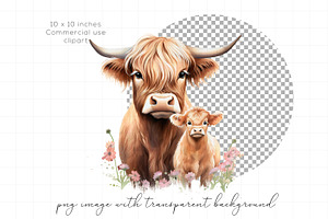 Highland Cow And Calf Clipart