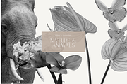 Black & White Collage Creator Bundle, an Illustration by 98 Created (Thumbnail 8 of 10)