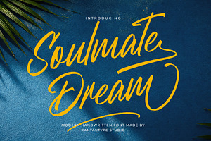 Soulmate Dream Modern Handwritten, a Script Font by RantautypeStudio