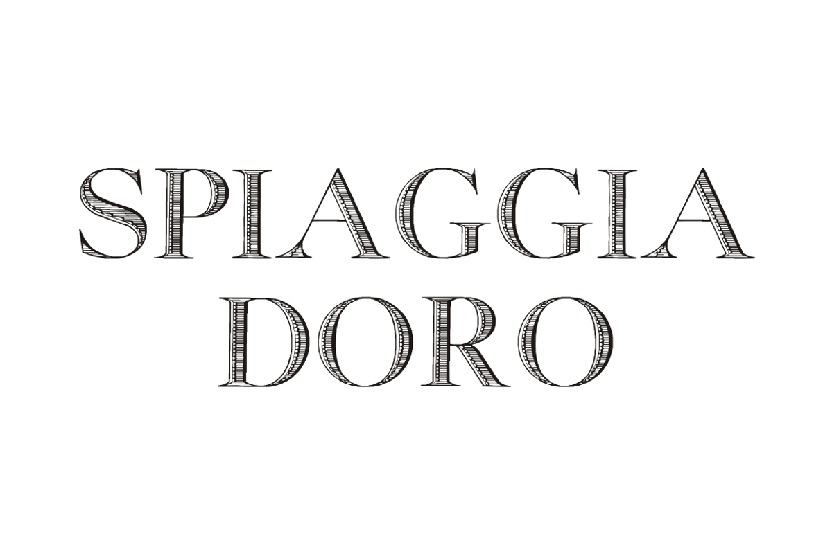 Georgia Capitals, a Serif Font by Intellecta Design (Photo 2 of 3)