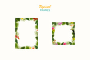 Tropical Realistic Paintings, a Decorative Illustration by Storyteller Imagery (Thumbnail 6 of 16)