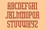 Display University Font, a Serif Font by GG Design (Thumbnail 3 of 8)