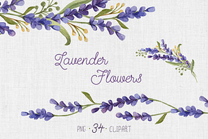 Watercolor set with Lavender Flowers