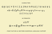 Sunfall Script, a Script Font by Beck McCormick (Thumbnail 9 of 9)