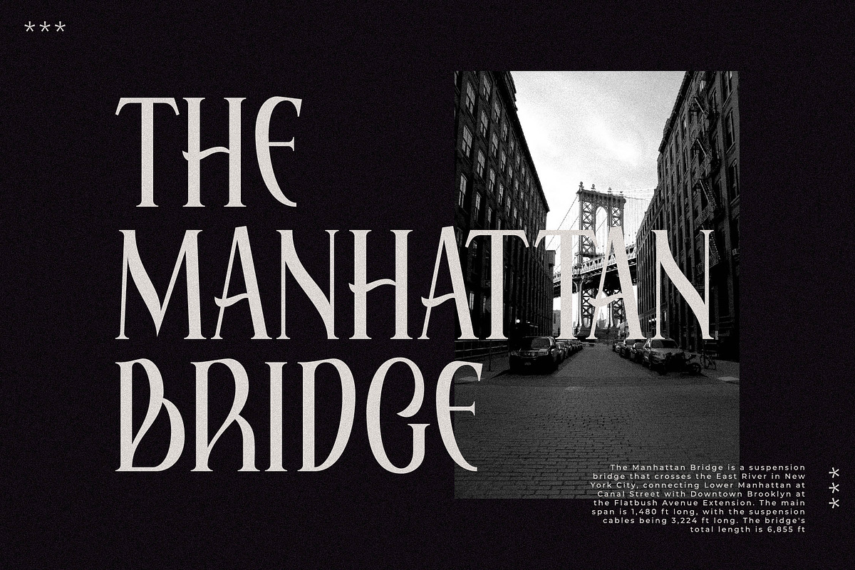 Elaphoras Display Serif Font, a Sans Serif Font by Storytype Studio (Photo 6 of 18)