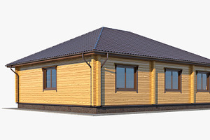 Log House 02