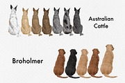 Watercolor Dog Breeds Clipart., an Animal Illustration by ColorfulPT (Thumbnail 4 of 8)