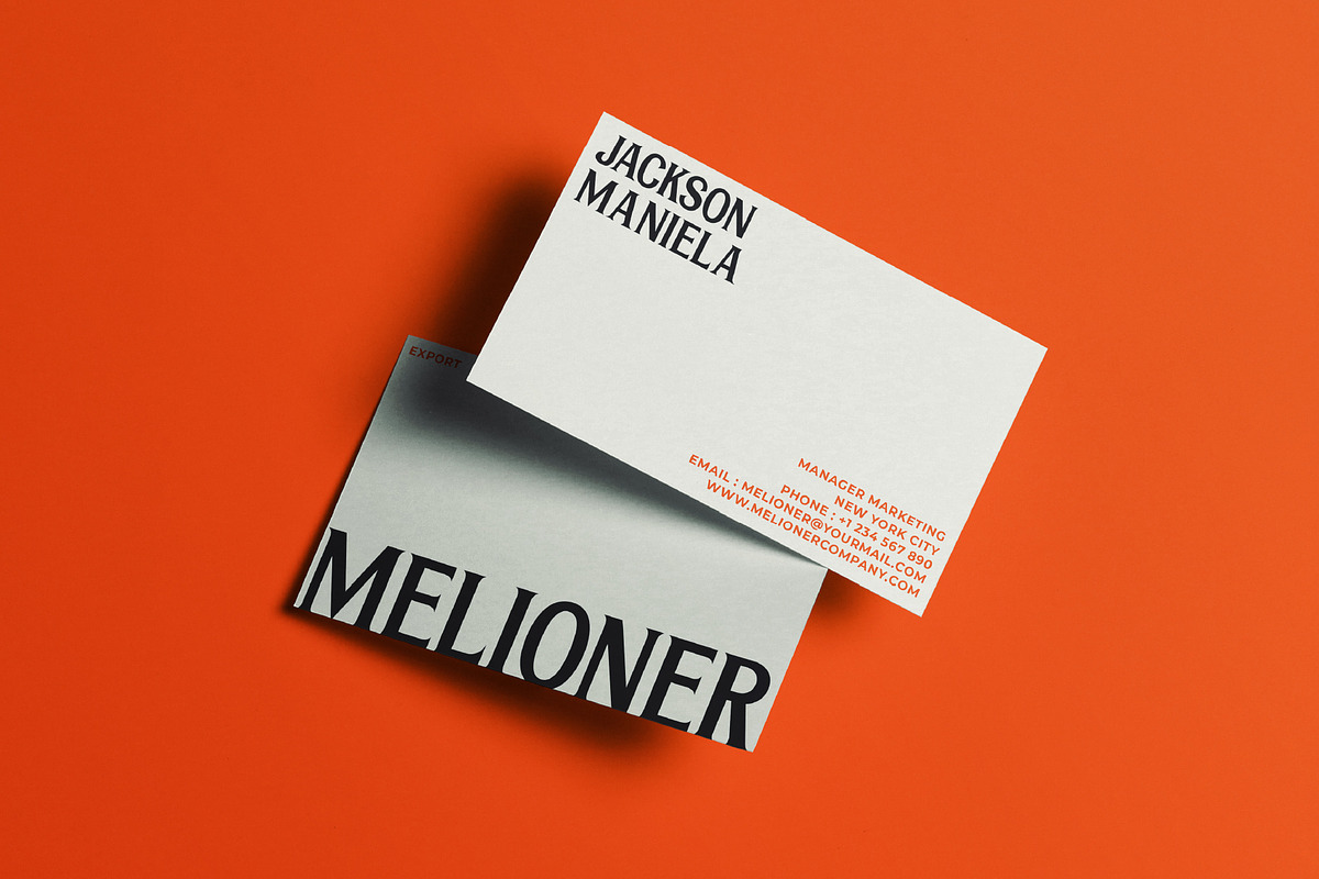 Epilonion - Serif Display Font, a Serif Font by Brainwaves.Studio (Photo 10 of 11)