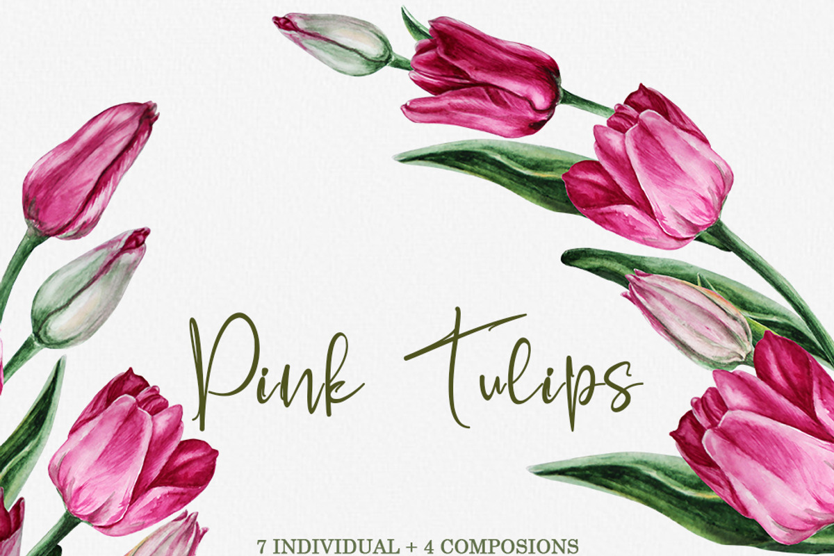 Pink tulips illustration clipart, a Decorative Illustration by Alla Art Poster (Photo 1 of 4)