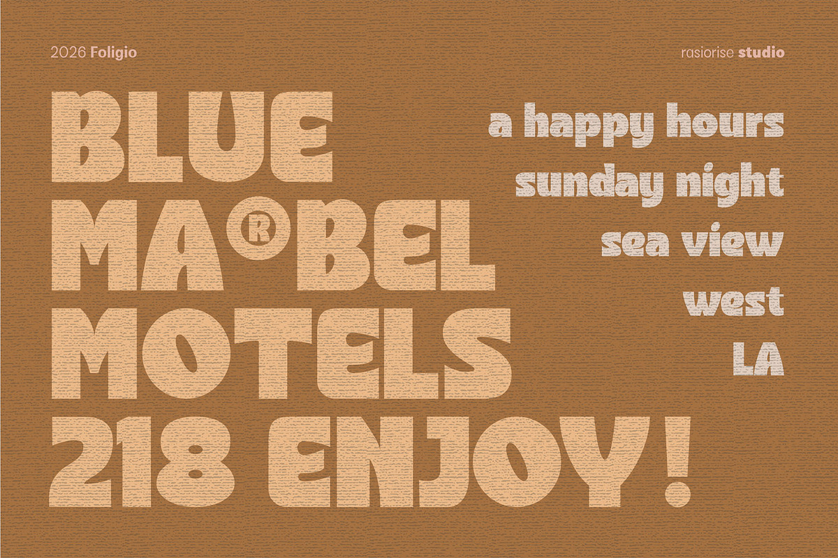 Foligio Font, a Sans Serif Font by Rasiorise Studio (Photo 8 of 13)