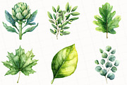 Green Summer Foliage Clipart, an Illustration by OK Design (Thumbnail 2 of 5)