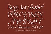 The Marten Mansion - Serif Font, a Serif Font by Four Lines Std. (Thumbnail 14 of 15)
