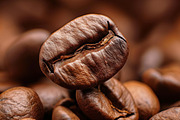 Coffee beans - 41 images, a Food & Drink Photo by Handmadefont (Thumbnail 8 of 12)