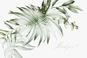 Green leaves | Botanical set, a Decorative Illustration by Karma (Thumbnail 18 of 18)