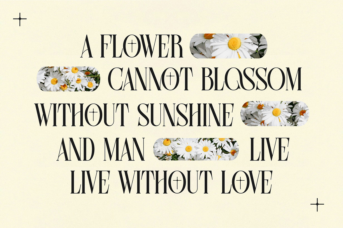 Farqey Denours Serif Font, a Serif Font by Heinzel Std (Photo 2 of 19)