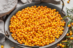 Fresh sea buckthorn berries filling a metal tray on a textured s, a Food & Drink Photo by Olena Rudo