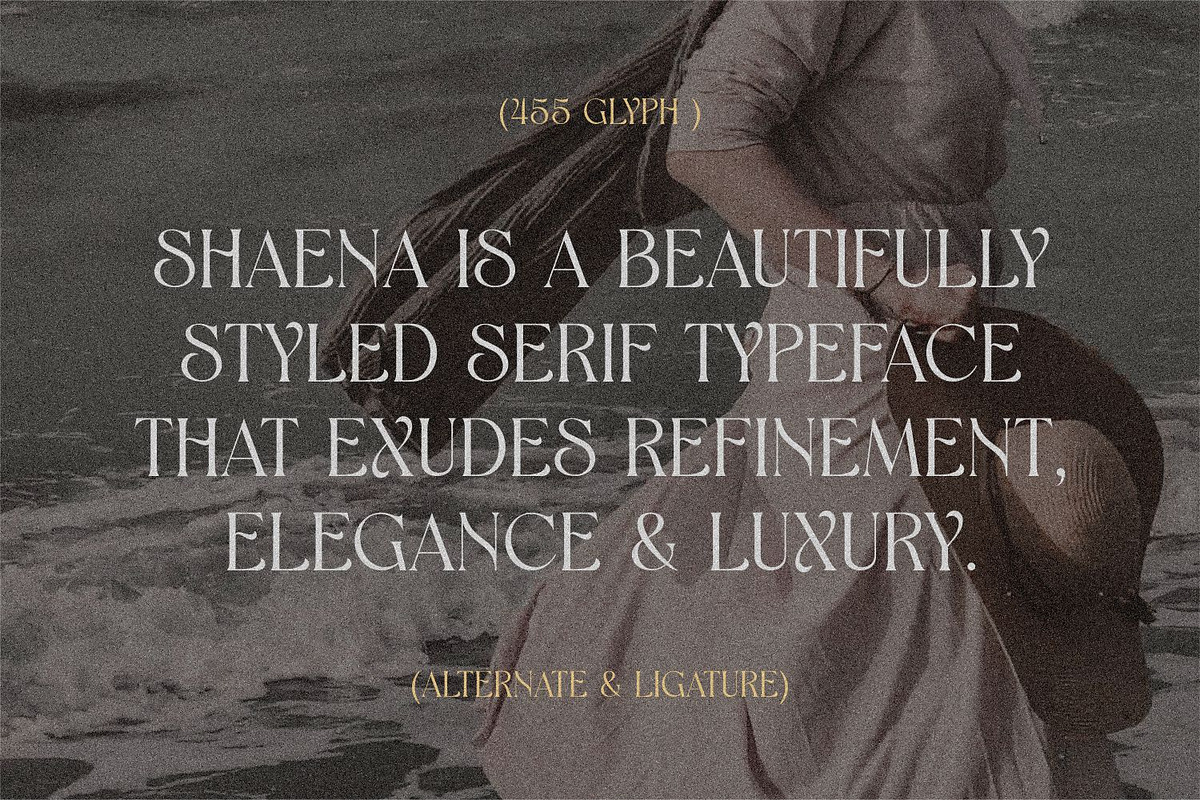 Shaena - Beautiful Serif, a Serif Font by Asenbayu (Photo 2 of 14)