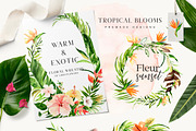 Living Coral - Duality Set, an Illustration by studioequinox (Thumbnail 7 of 16)
