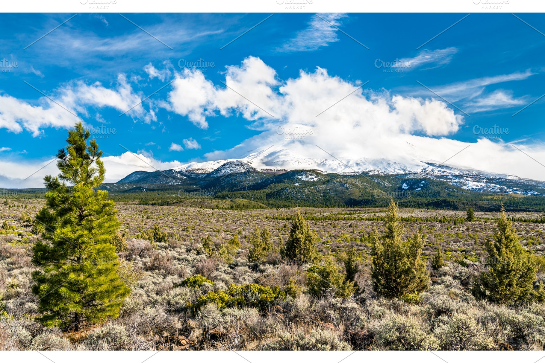 View of Mount Shasta in Northern, a Nature Photo by Leonid Andronov