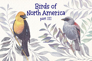 Birds of North America part 3, an Animal Illustration by Art & Things (Thumbnail 5 of 8)