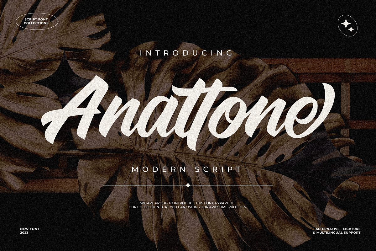 Anattone - Modern Script Font, a Script Font by Lettermine (Photo 1 of 9)