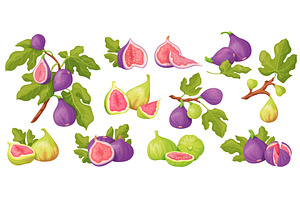 Cartoon fig. Sweet figs purple or, a Food Illustration by Stock-Smart-Start