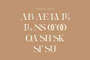 Gauker - Modern Ligatures Serif, a Serif Font by Nirmana Visual (Thumbnail 5 of 12)