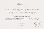 Beitris Script, a Script Font by banks (Thumbnail 13 of 15)
