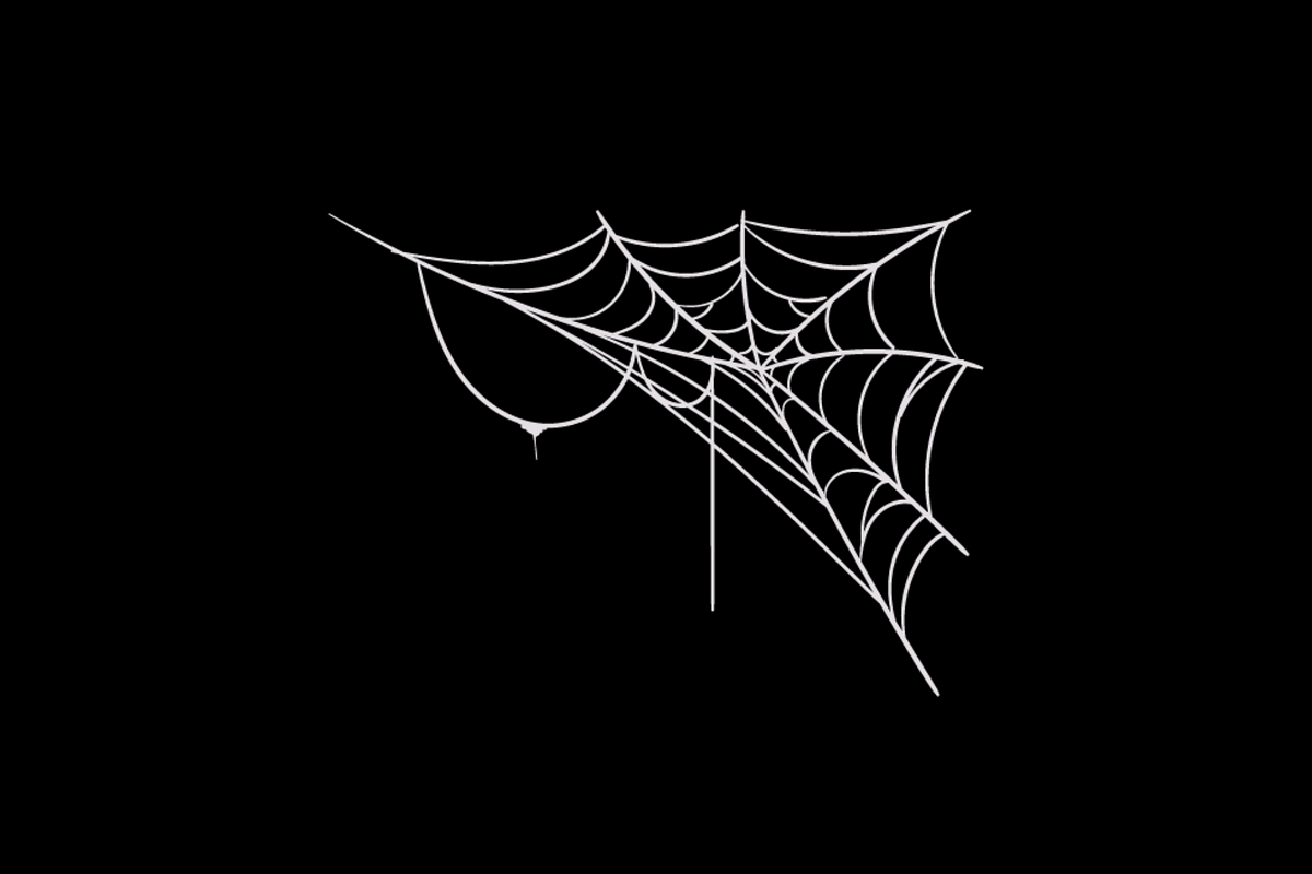 Spider Web Vector Set, an Animal Illustration by Creathub Studio (Photo 3 of 6)