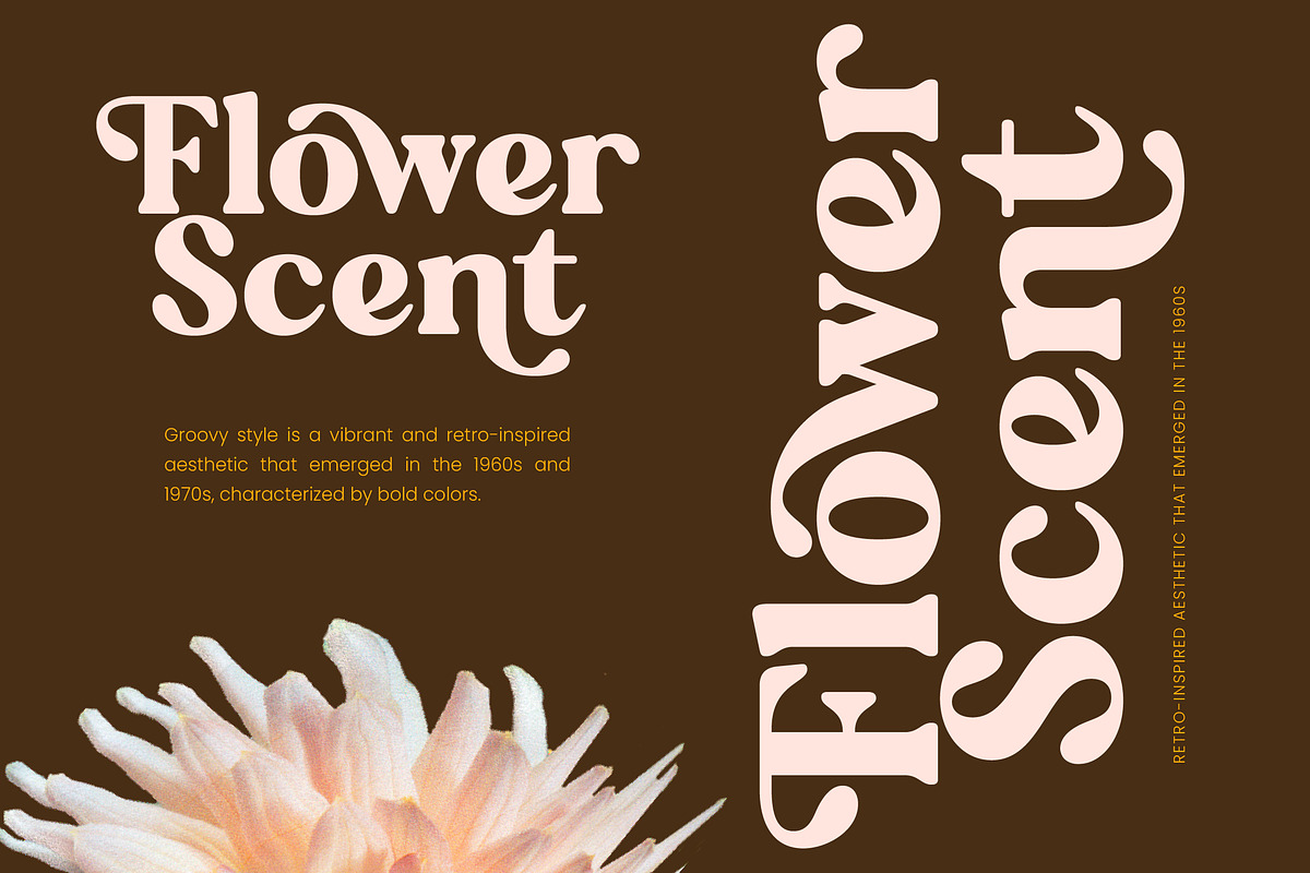 Regina Morise Classy Retro Serif, a Serif Font by timelesstype.co (Photo 15 of 20)