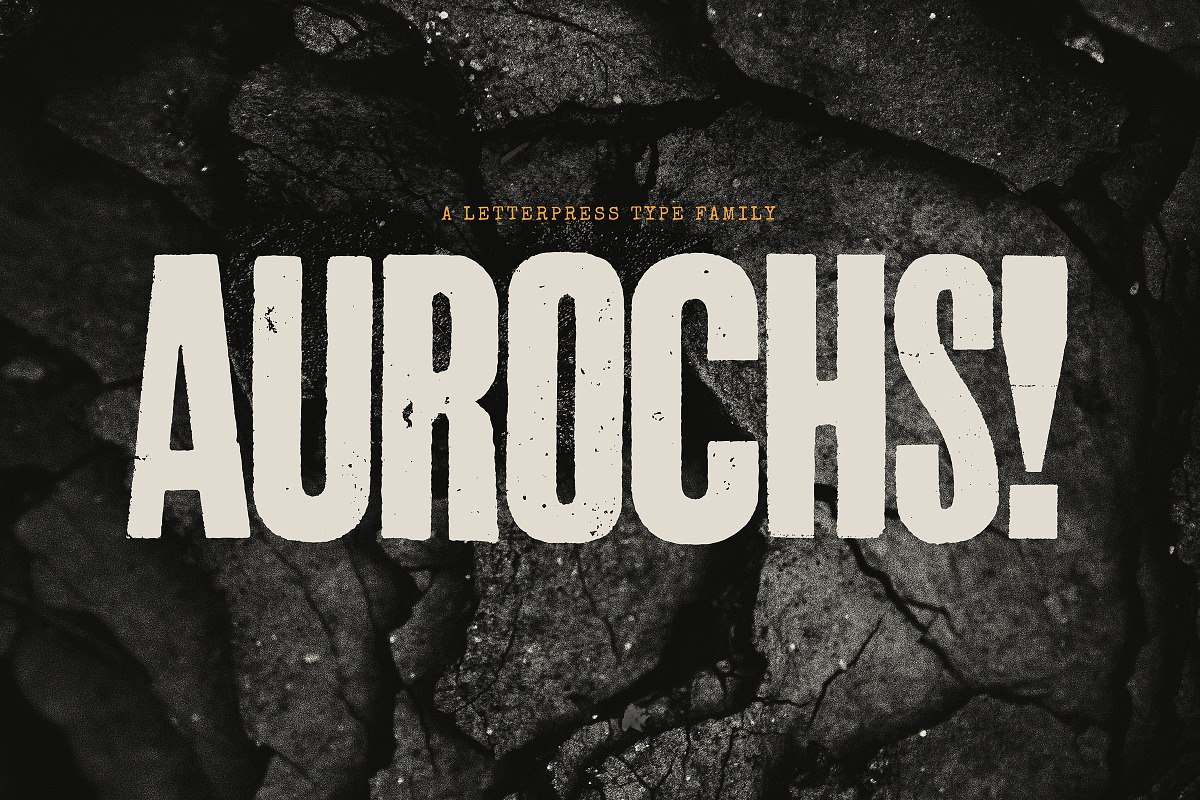 Aurochs: letterpress type family, a Sans Serif Font by Polymath (Photo 1 of 12)