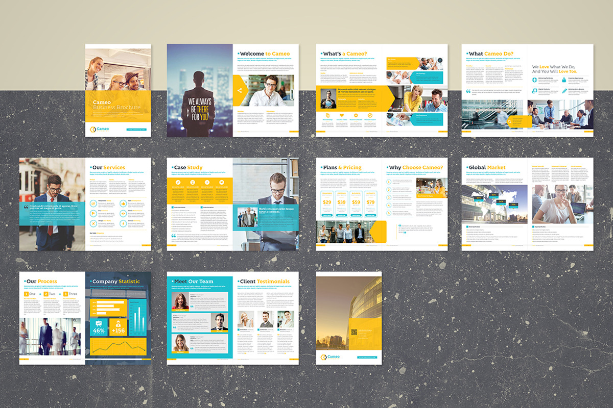 Cameo Business Brochure, a Brochure Template by FathurFateh (Photo 13 of 13)