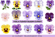 Viola Flower Bloom Clipart, an Illustration by cherrydesign (Thumbnail 1 of 3)