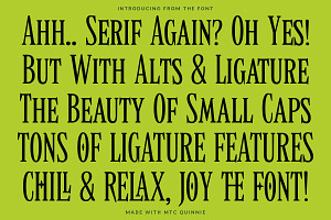 MTC Quinnie - Condensed Serif!