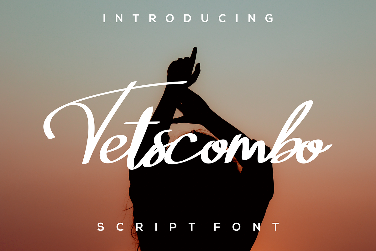 Tetscombo, a Script Font by lelevien (Photo 3 of 3)