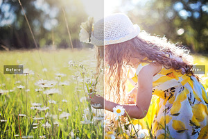 Sunshine Pro Lightroom Presets