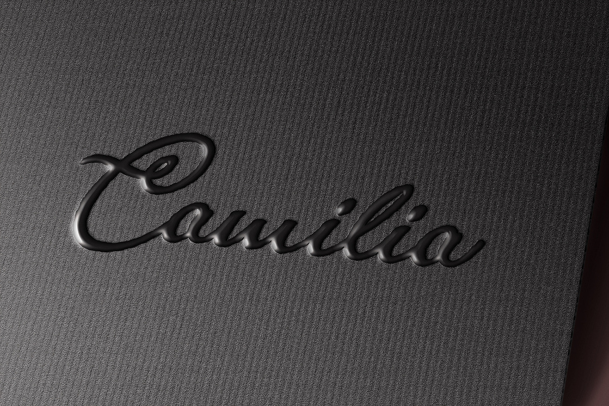 Logotype Mockup, a Merchandise Mockup by ZippyPixels (Photo 1 of 4)