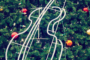 Decorated christmas tree, a Holiday Photo by BOOCYS