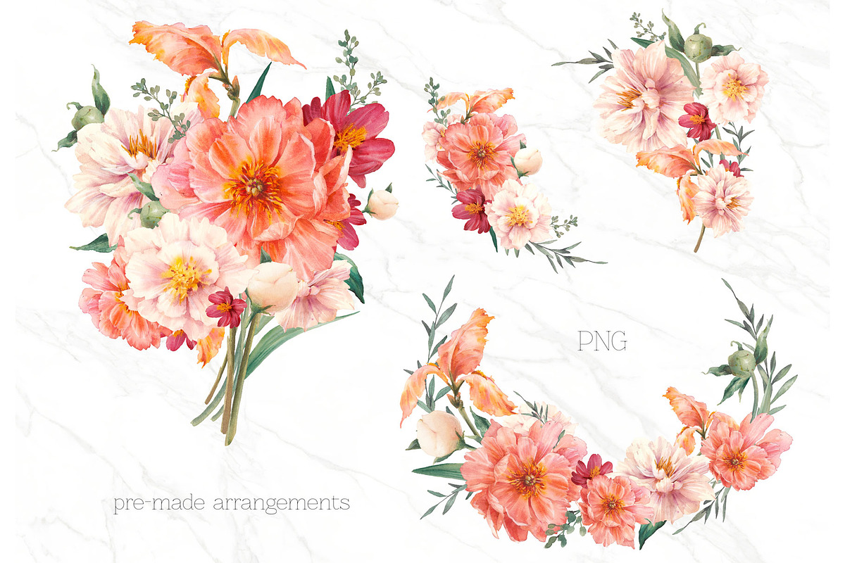 Peony chic, an Illustration by Eisfrei (Photo 2 of 6)