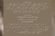 Platimye Stylish Signature Font, a Script Font by Letterena Studios Script (Thumbnail 13 of 15)