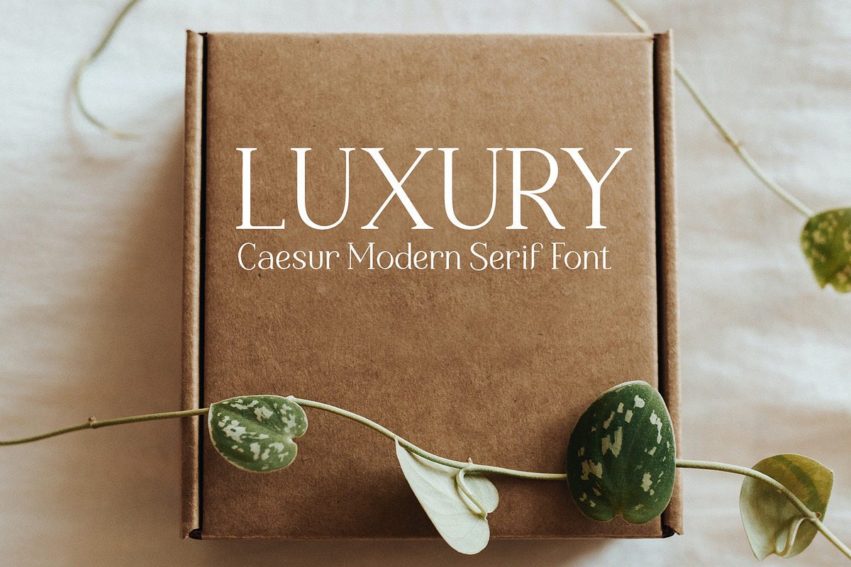Caesur, a Serif Font by Sulthan Studio (Photo 7 of 7)