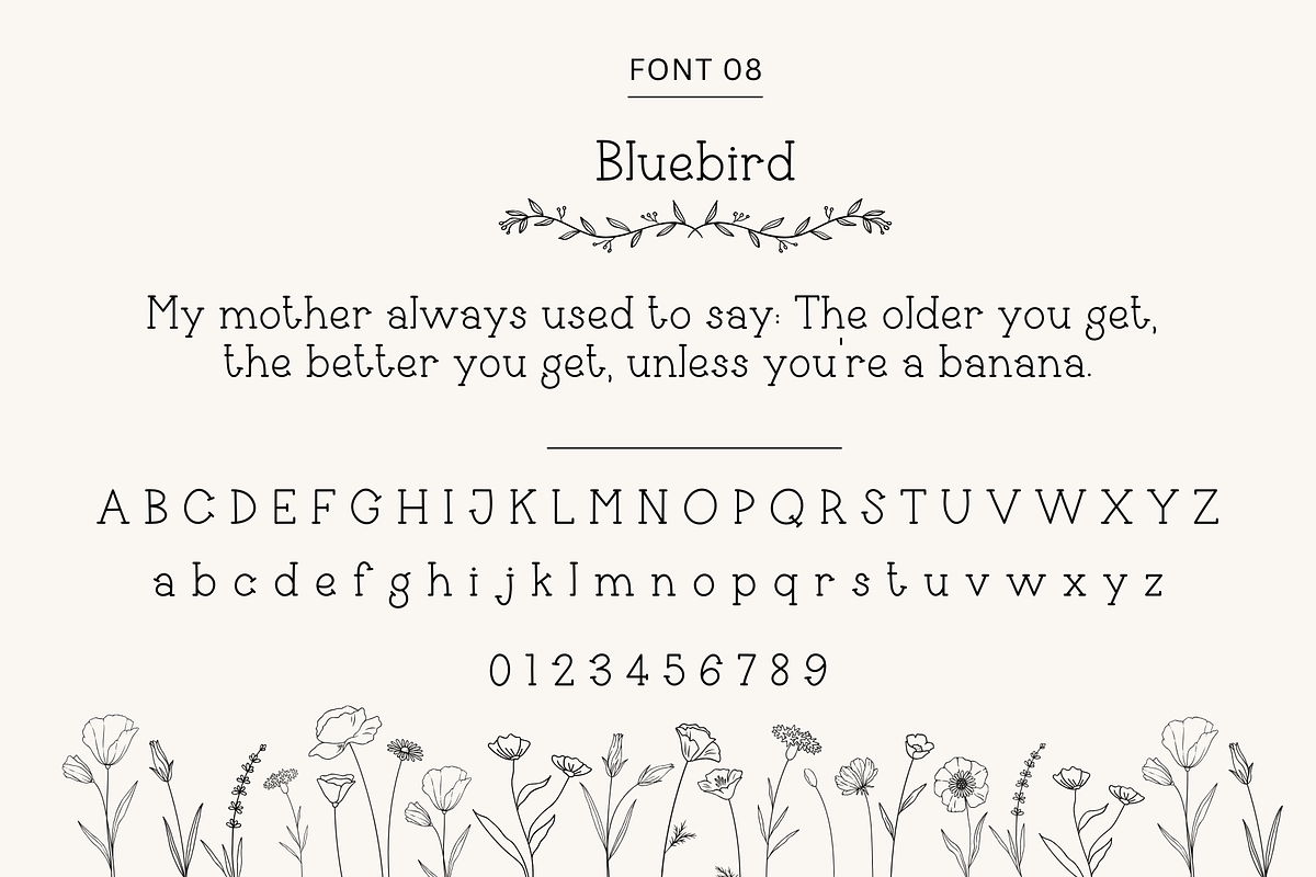 Handwriting Bundle 3, a Handwritten Font by Sofia Skoog (Photo 10 of 10)