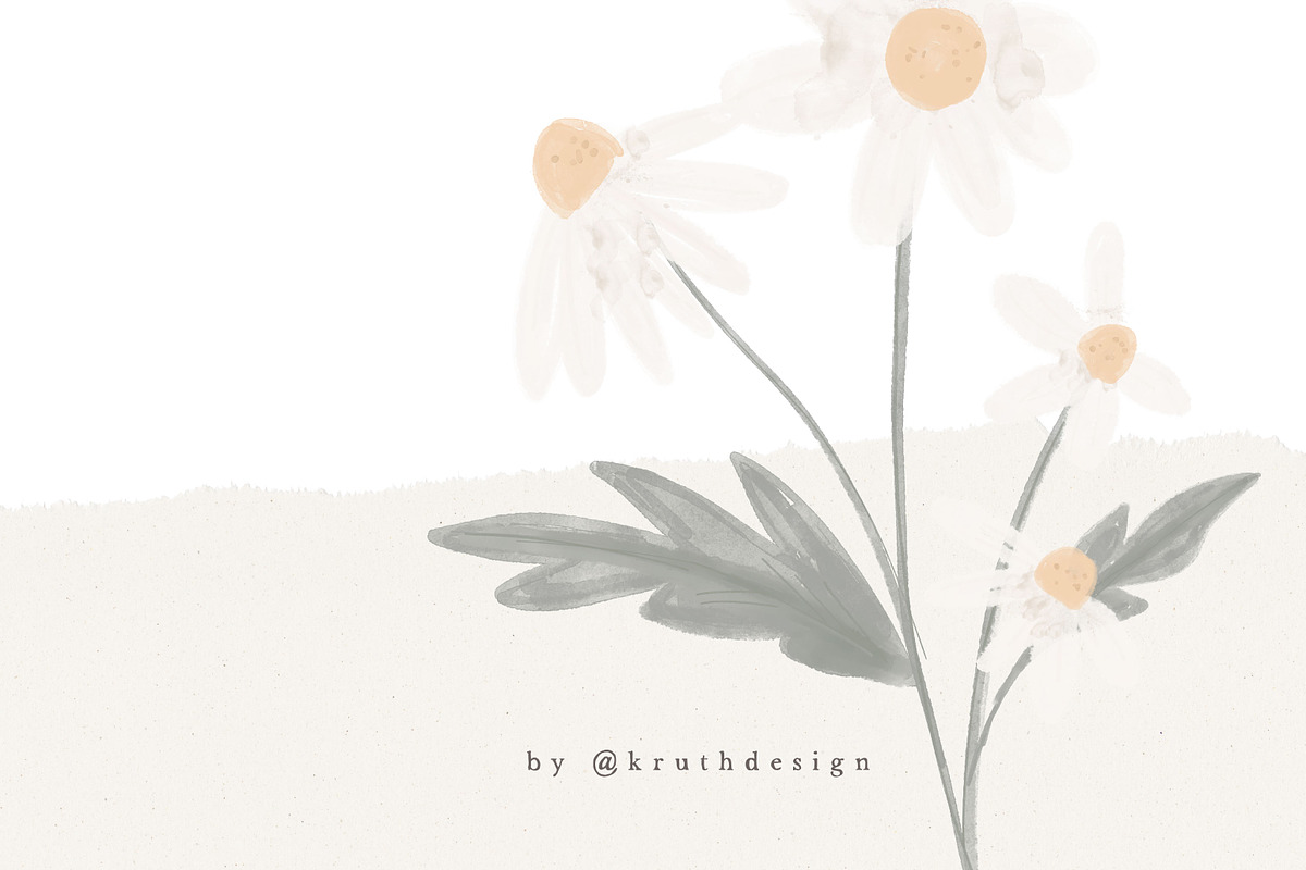 WATERCOLOR DAISY / illustration set, an Illustration by KruthDesign (Photo 3 of 7)