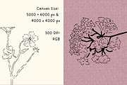 Wildflower Ink Atelier, a Decorative Illustration by The Journey Atelier (Thumbnail 5 of 19)